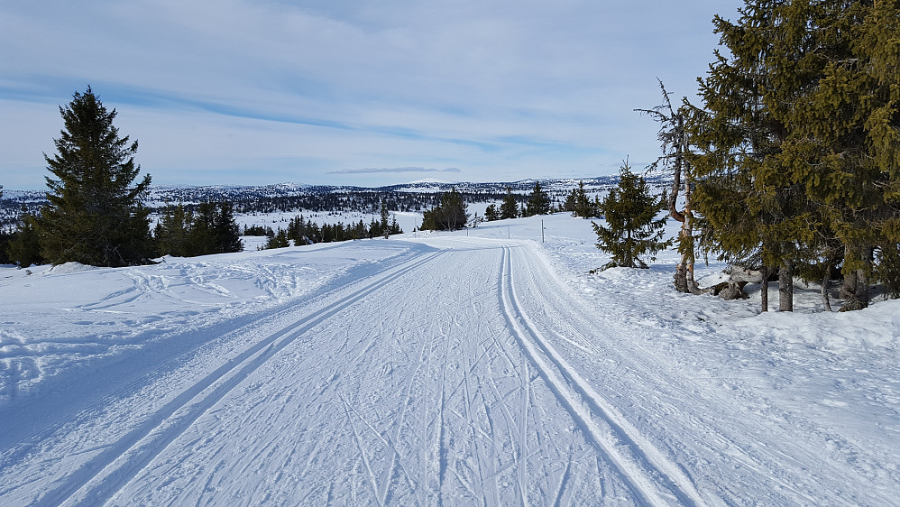 Gjestebodåsen