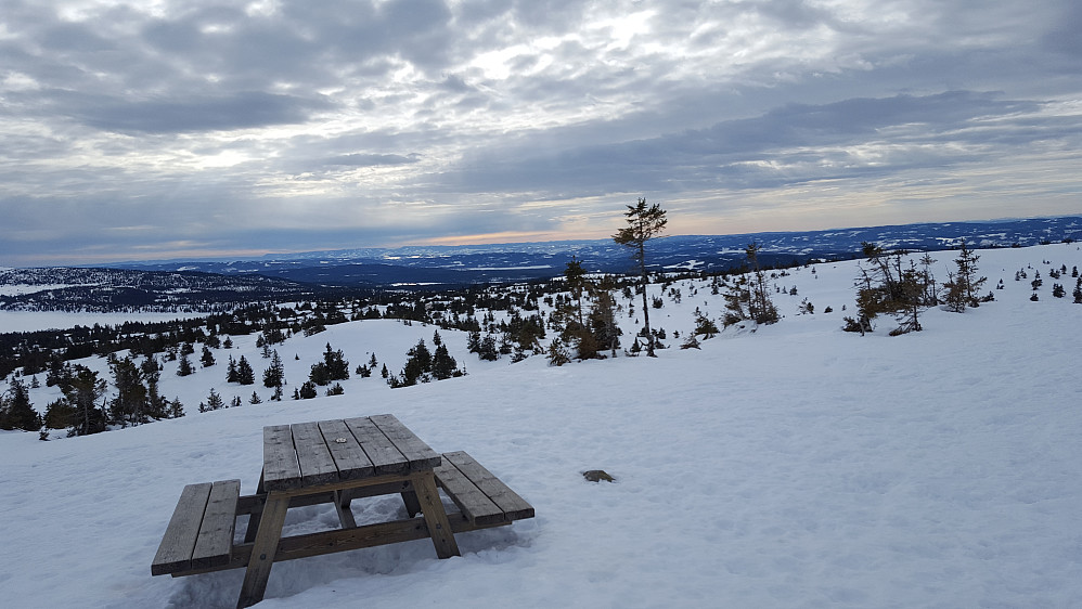 Fra

På Sjusjøfjellet

