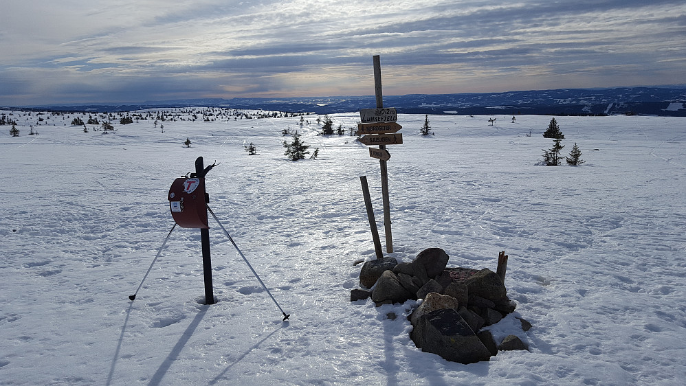 Fra

På Lunkefjell

