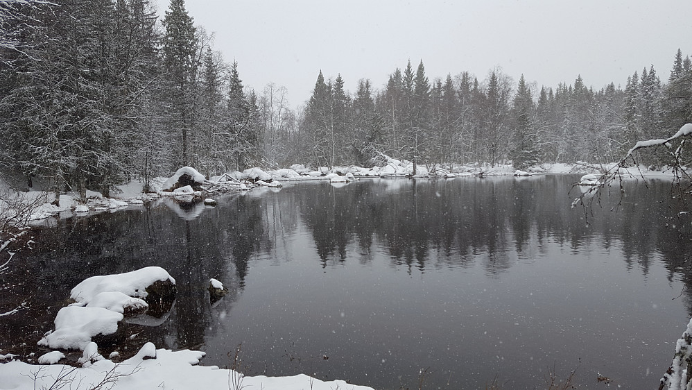 Mesnaelva, Mesnasaga