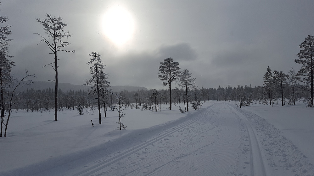Ingalåmi