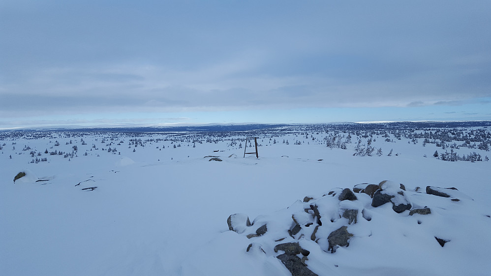 På Sjusjøfjellet øst