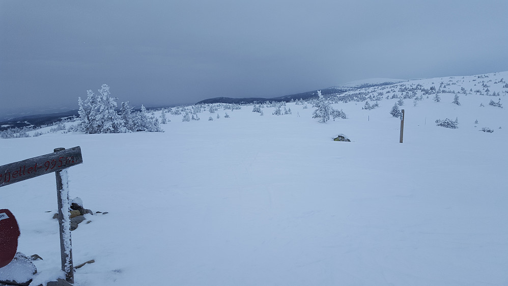 På Sjusjøfjellet 