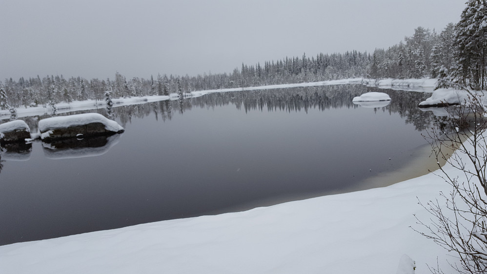 Mesnaelva, Bottilflø