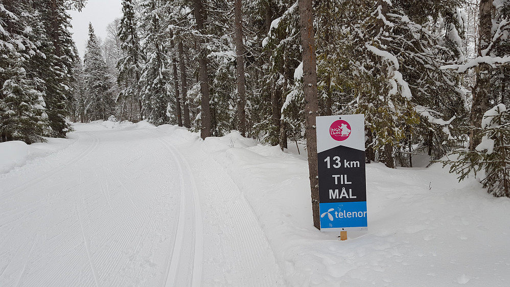 Forberedelser til helgas Ingalåmi