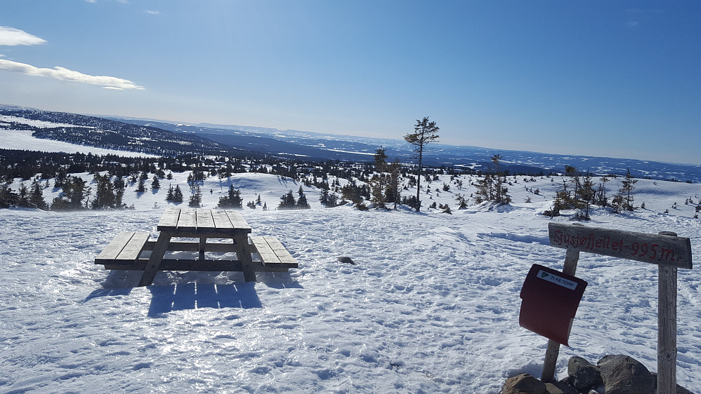 På Sjusjøfjellet