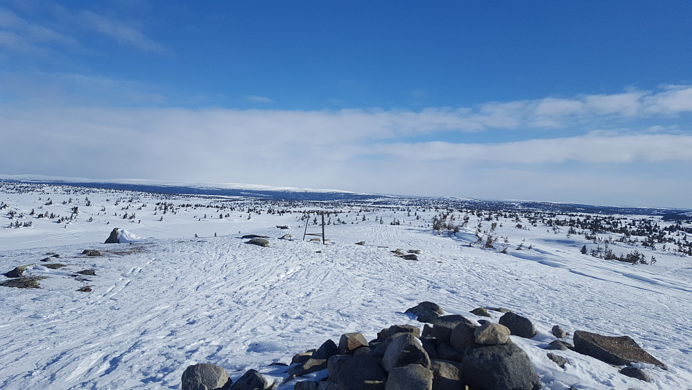 På Sjusjøfjellet øst