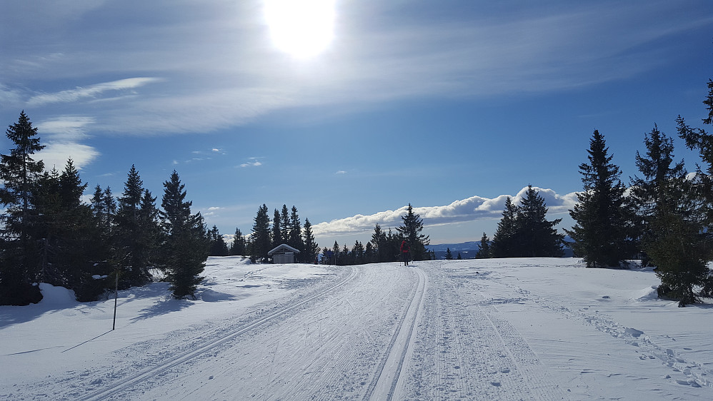 Klar for å ake ned igjen til Nordseter