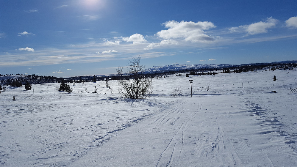 Kommet ned fra Hærfjellet