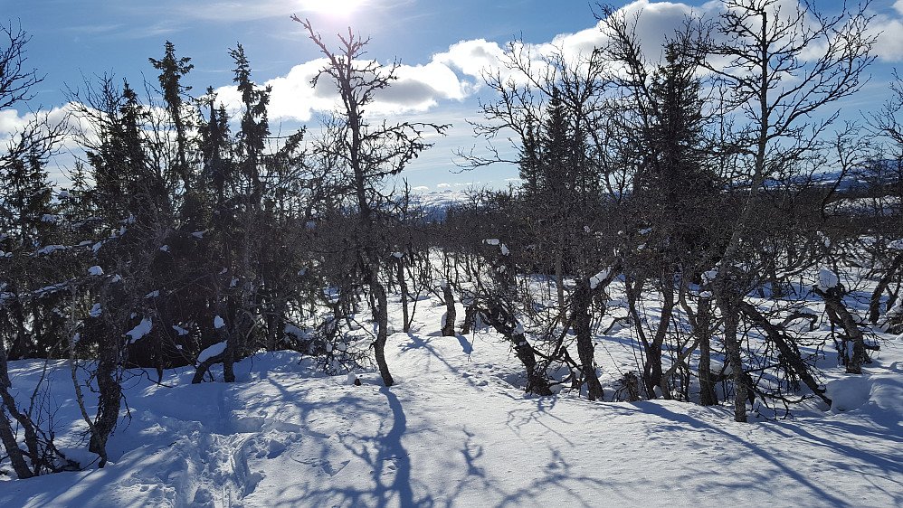 På Værskeitoppen