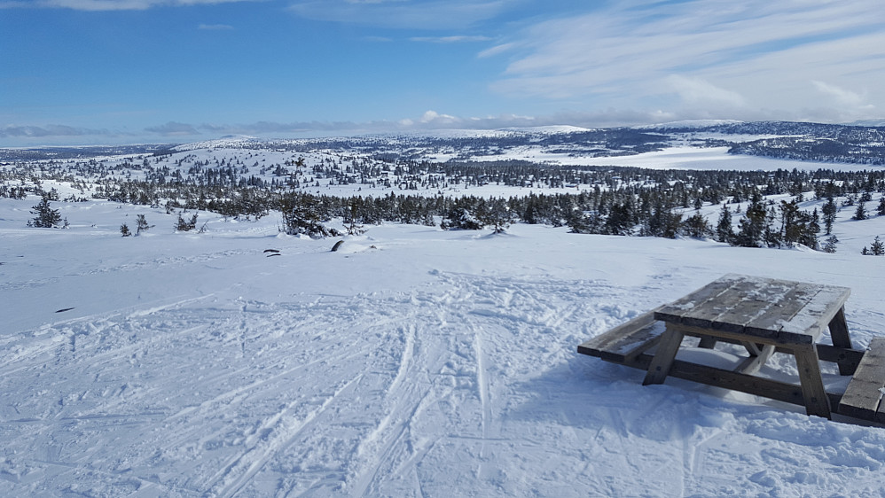 På Sjusjøfjellet 