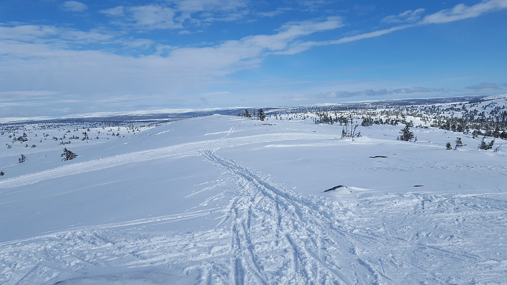 På Sjusjøfjellet 