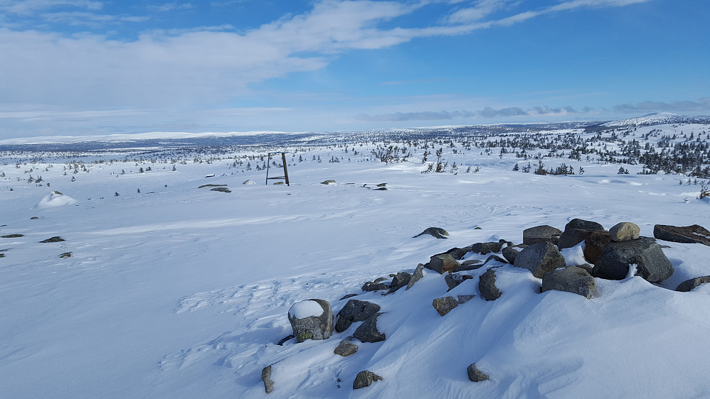 På Sjusjøfjellet øst