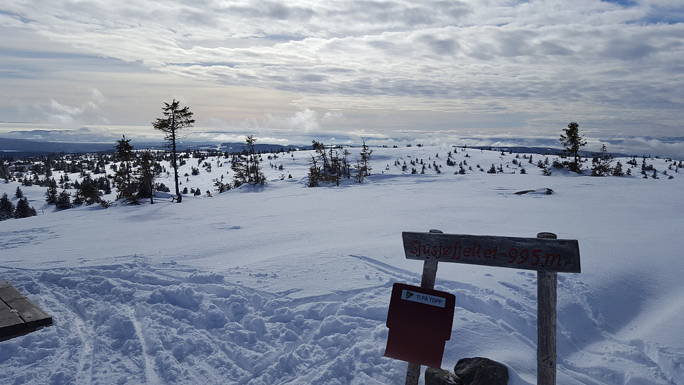 På Sjusjøfjellet