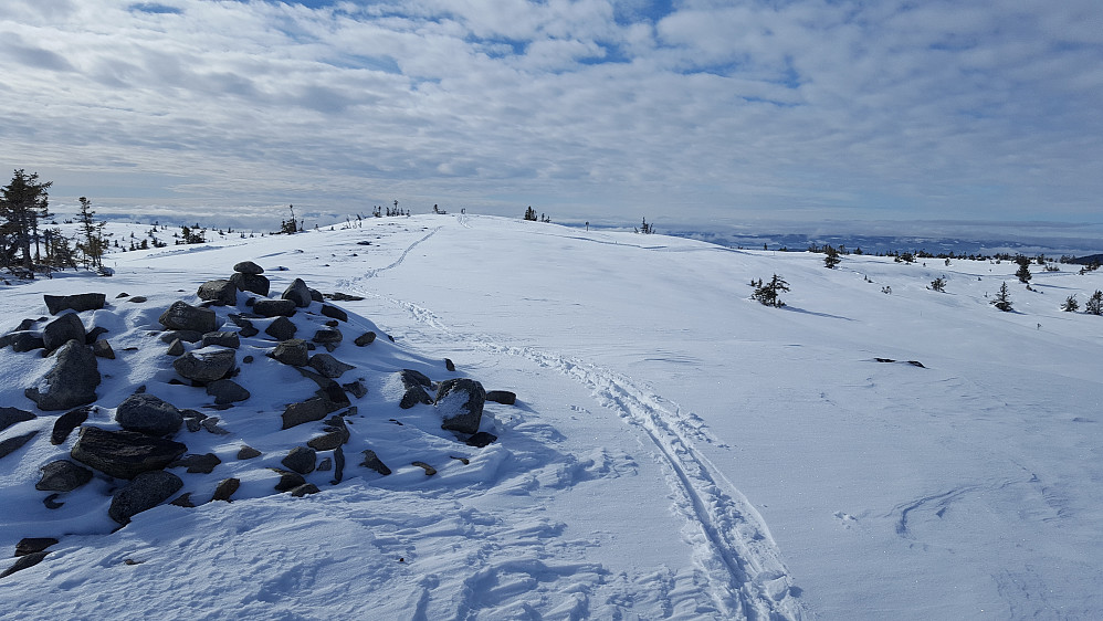 På Sjusjøfjellet øst