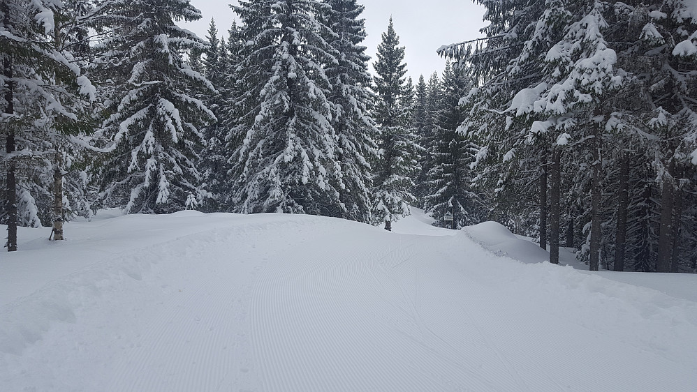 På Kanthaugen