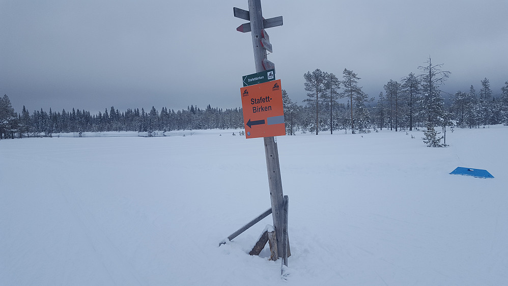Møtte løpere i stafettbirken ved Bottilmyra