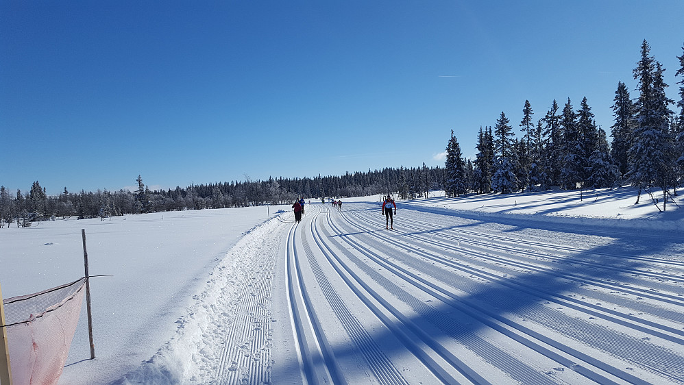 Og så skinte sola