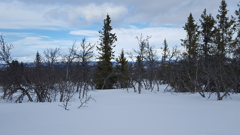 På Værskeitoppen
