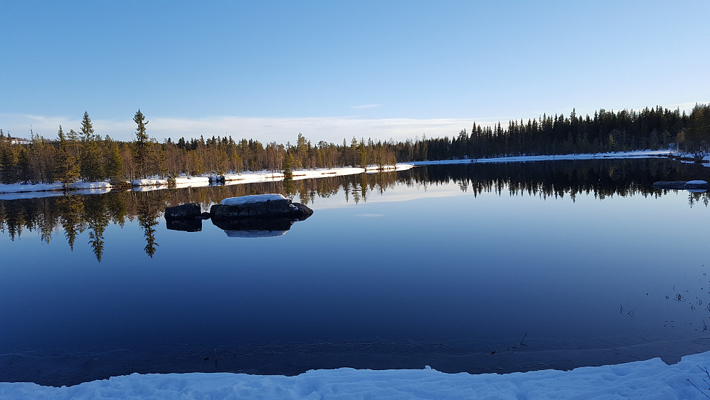 Mesnaelva, Bottilflø
