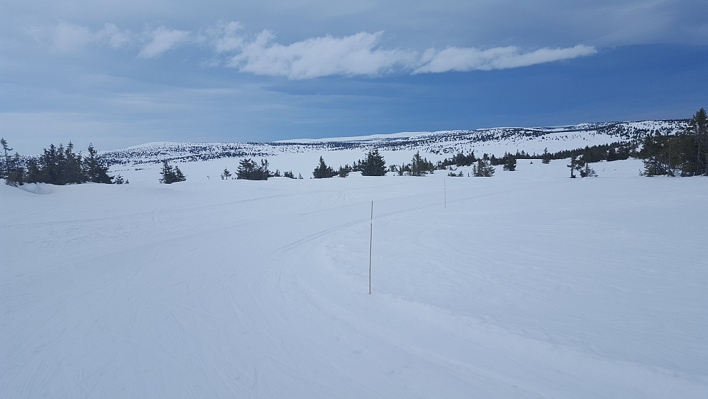 På høgeste punkt nord for Nevelvatnet