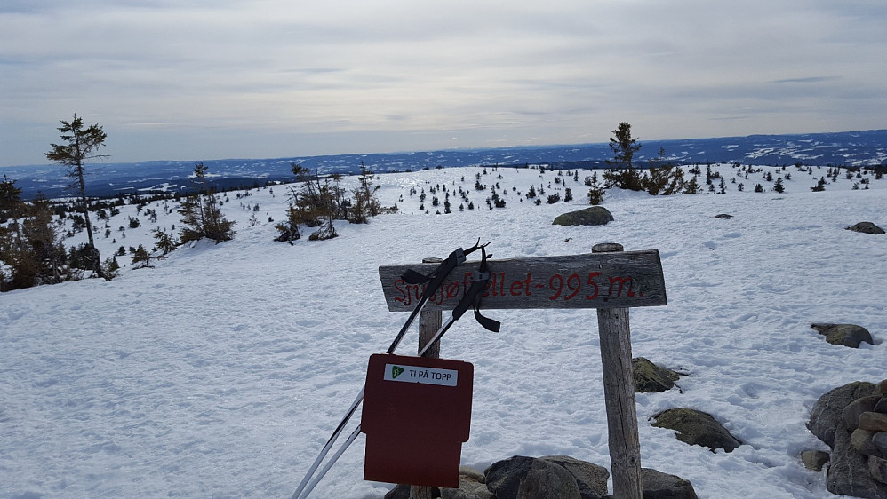 På Sjusjøfjellet