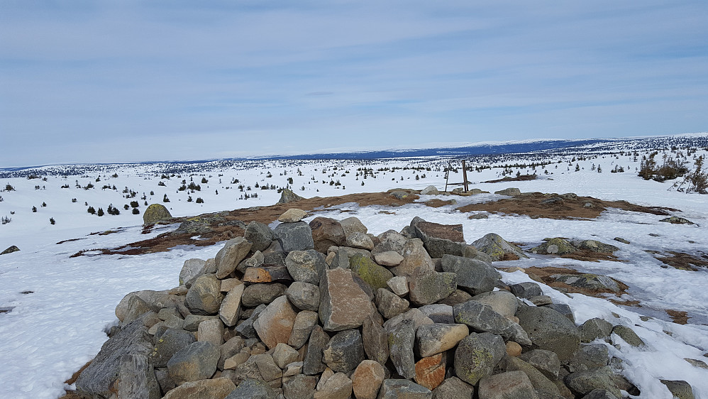 På Sjusjøfjellet øst
