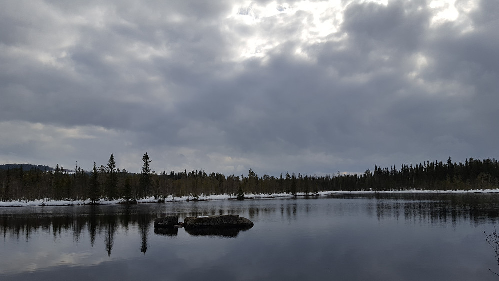 Mesnaelva, Bottilflø
