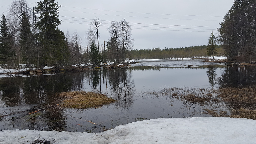 Mesnaelva,Birkebeinerløypa