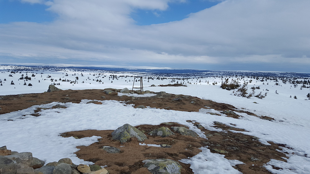 På Sjusjøfjellet øst