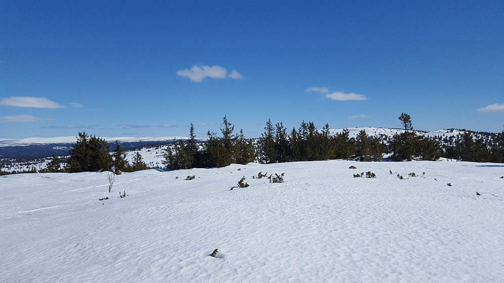 På Gjestebodåsen