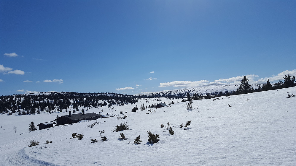 Ved setrene på Gjestebodåsen