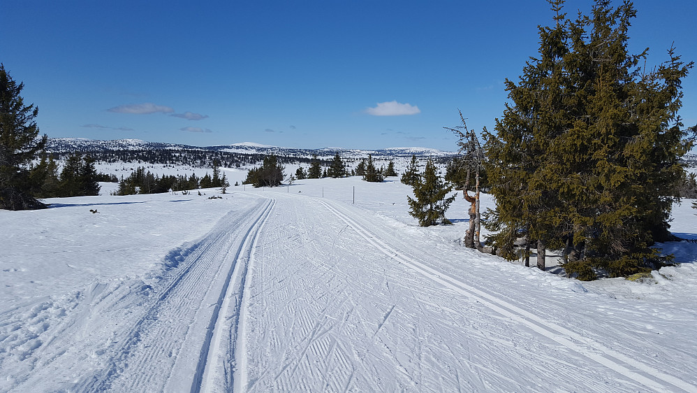 På Gjestebodåsen