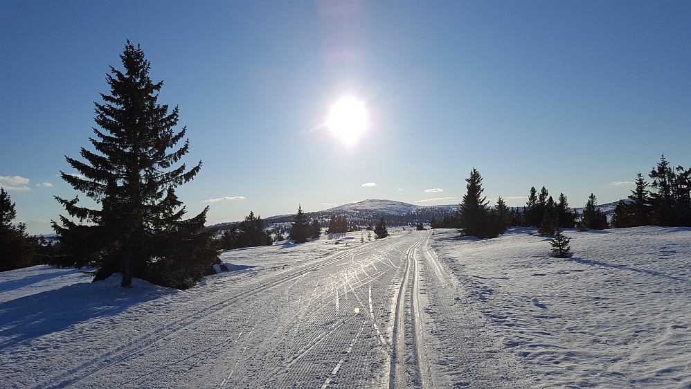 Mot Nevelfjell