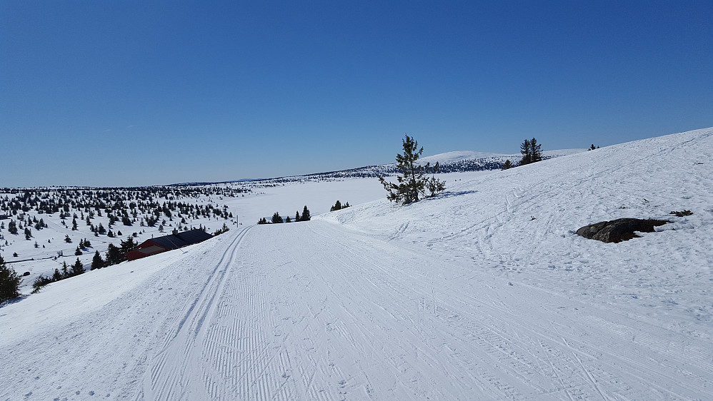På Reinakrysset