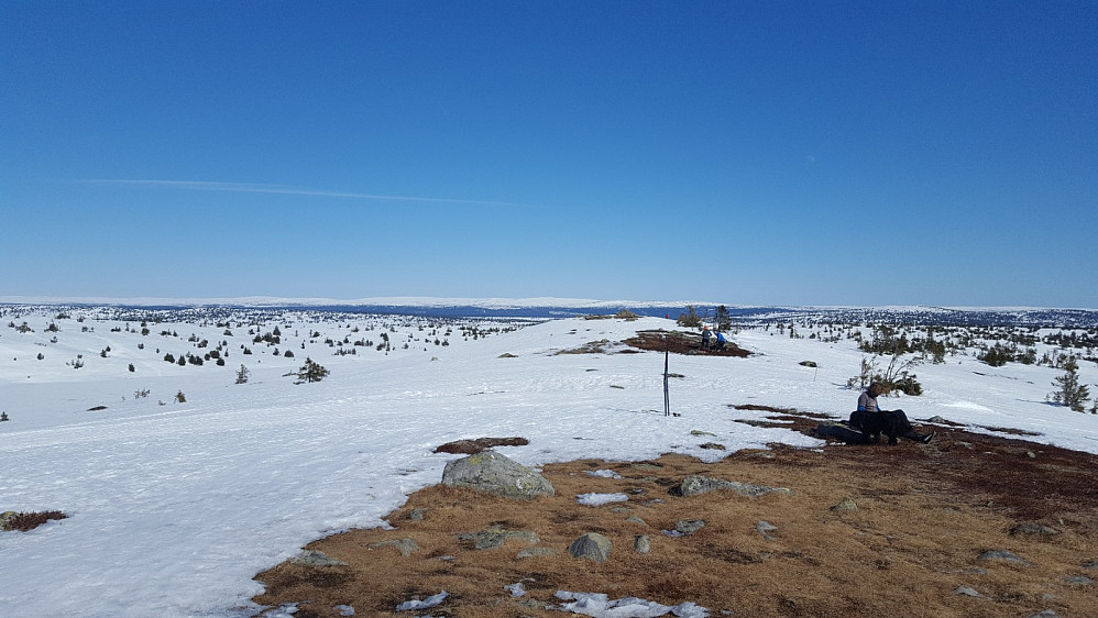 På Sjusjøfjellet