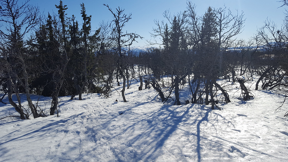 På Værskeitoppen
