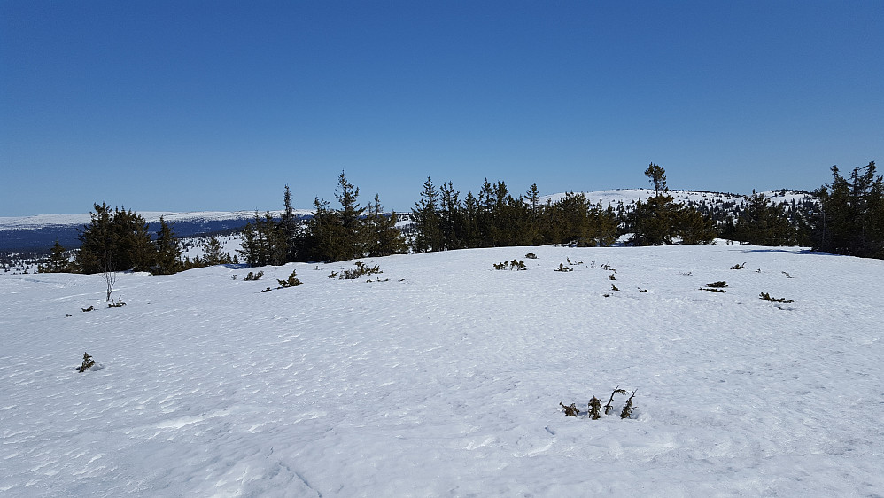 På Gjesbodåsen