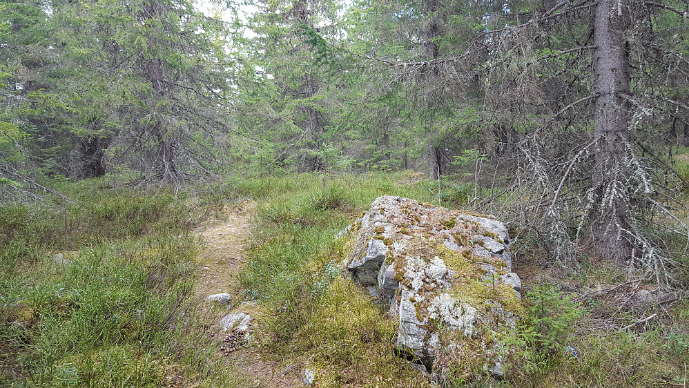 Kanthaugen