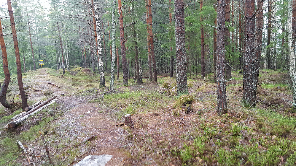 På Kaløkkebakken