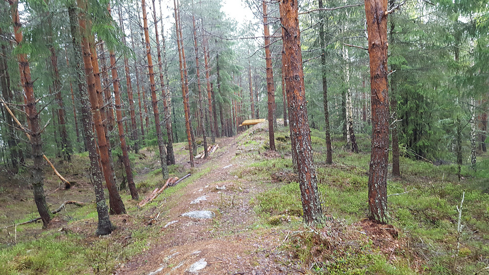 På Kaløkkehbakken
