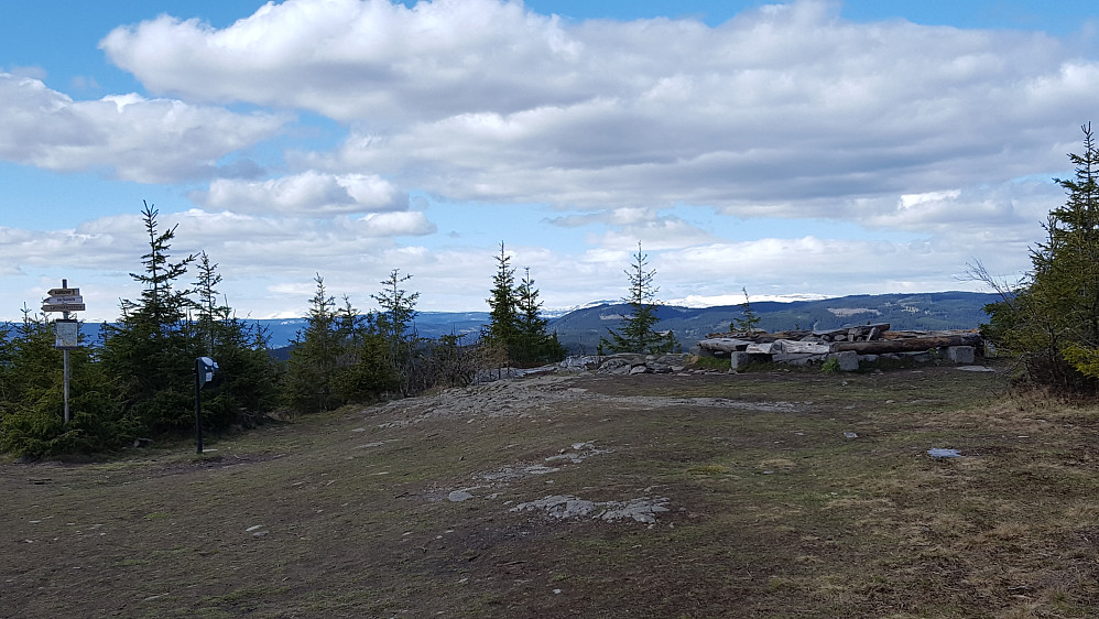På Balbergkampen, kvitt i Gausdal Nordfjell
