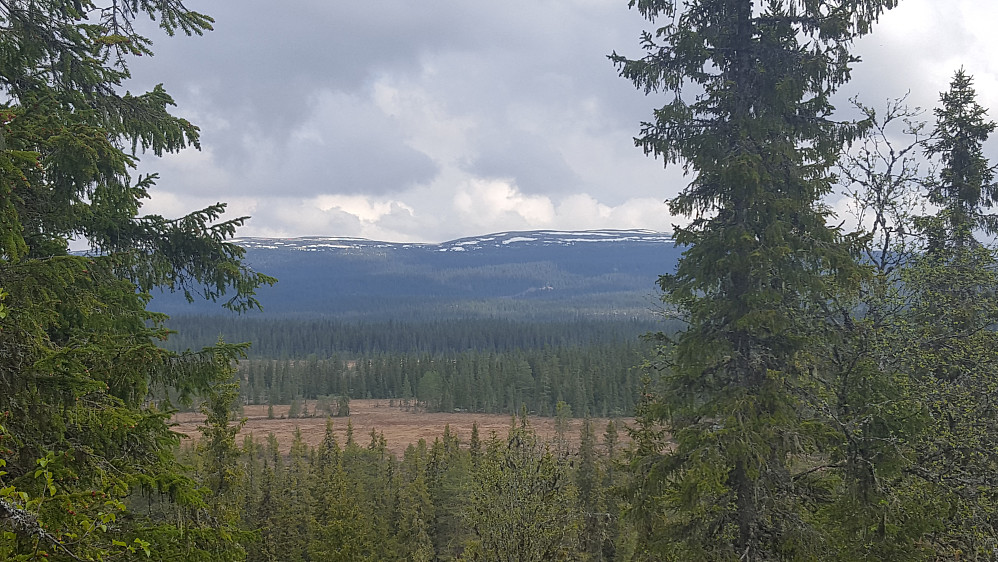 På Høgrabben, fortsatt snø opp mot Nevelfjell
