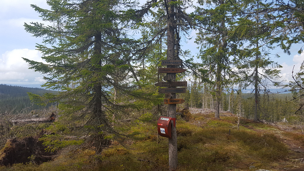 Ti på topp kassa ved stikrysset på Gropråket