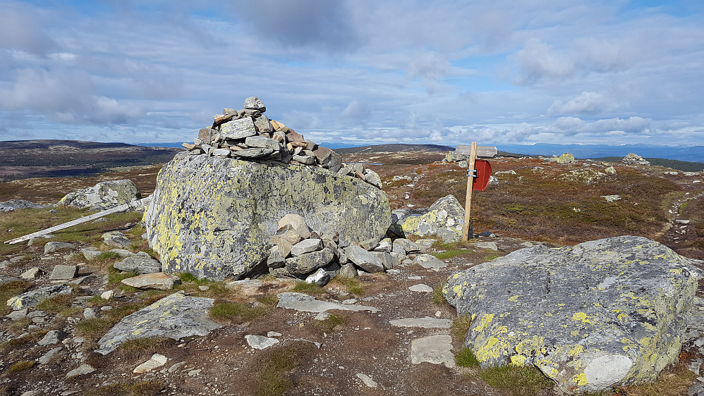 På Reinsfjellet