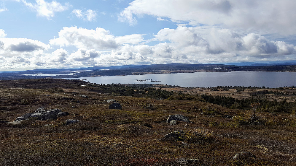 På Reinsfjellet