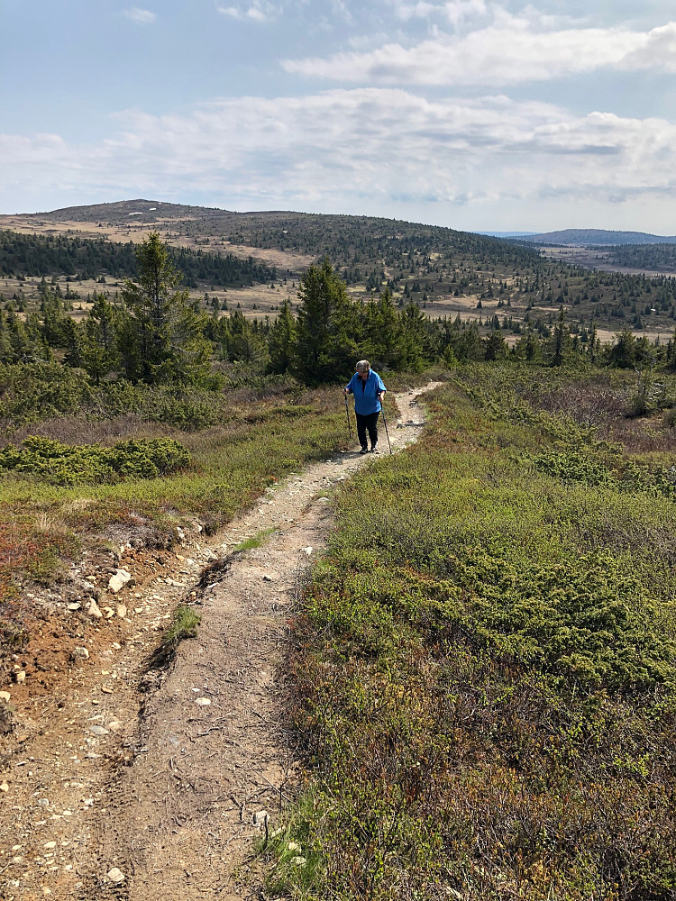 På vei opp, Kriksfjellet bak