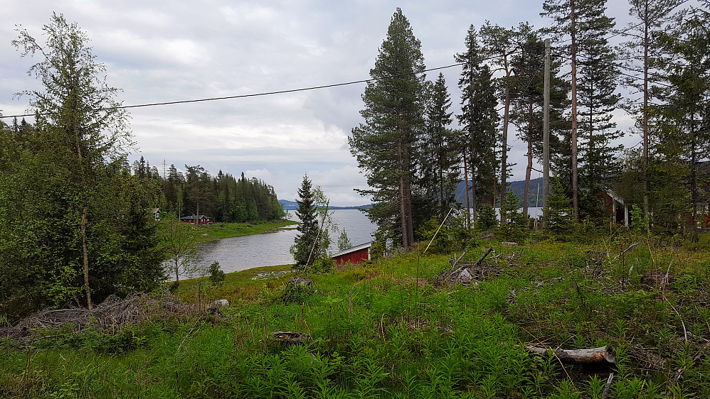 Ved Nord Mesna