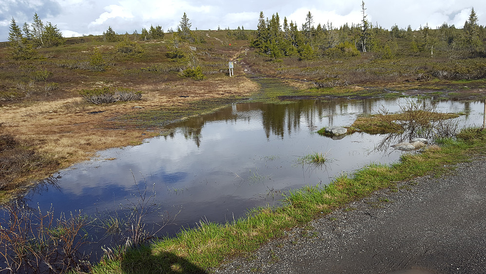 Vått ved der en går opp til Hærfjellet