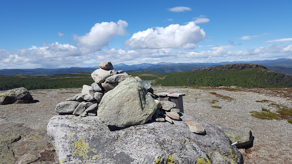 På Ormtjernkampen